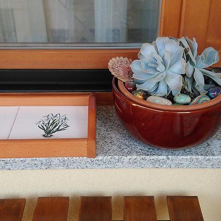 Apartment Aquileia PUY 외부 사진